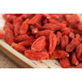 Getrocknete EU-Importstandards Goji Berry